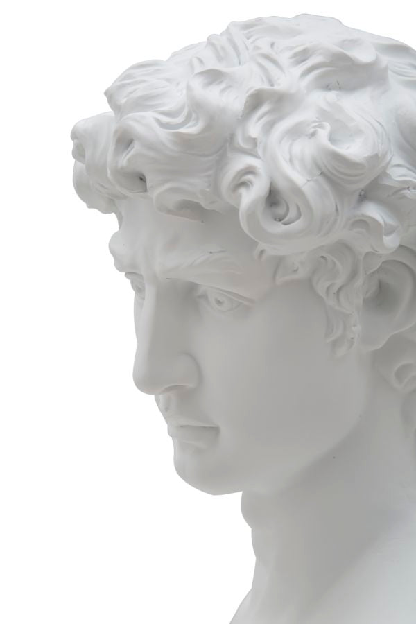 SCULTURA ROMAN CM 21,5X14,5X34