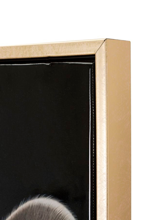 DIPINTO SU TELA LACCATO BAD BULLY -A- C/CORNICE CM 42,5X2,8X82,5