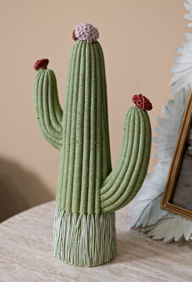 CACTUS CM 13X7X25