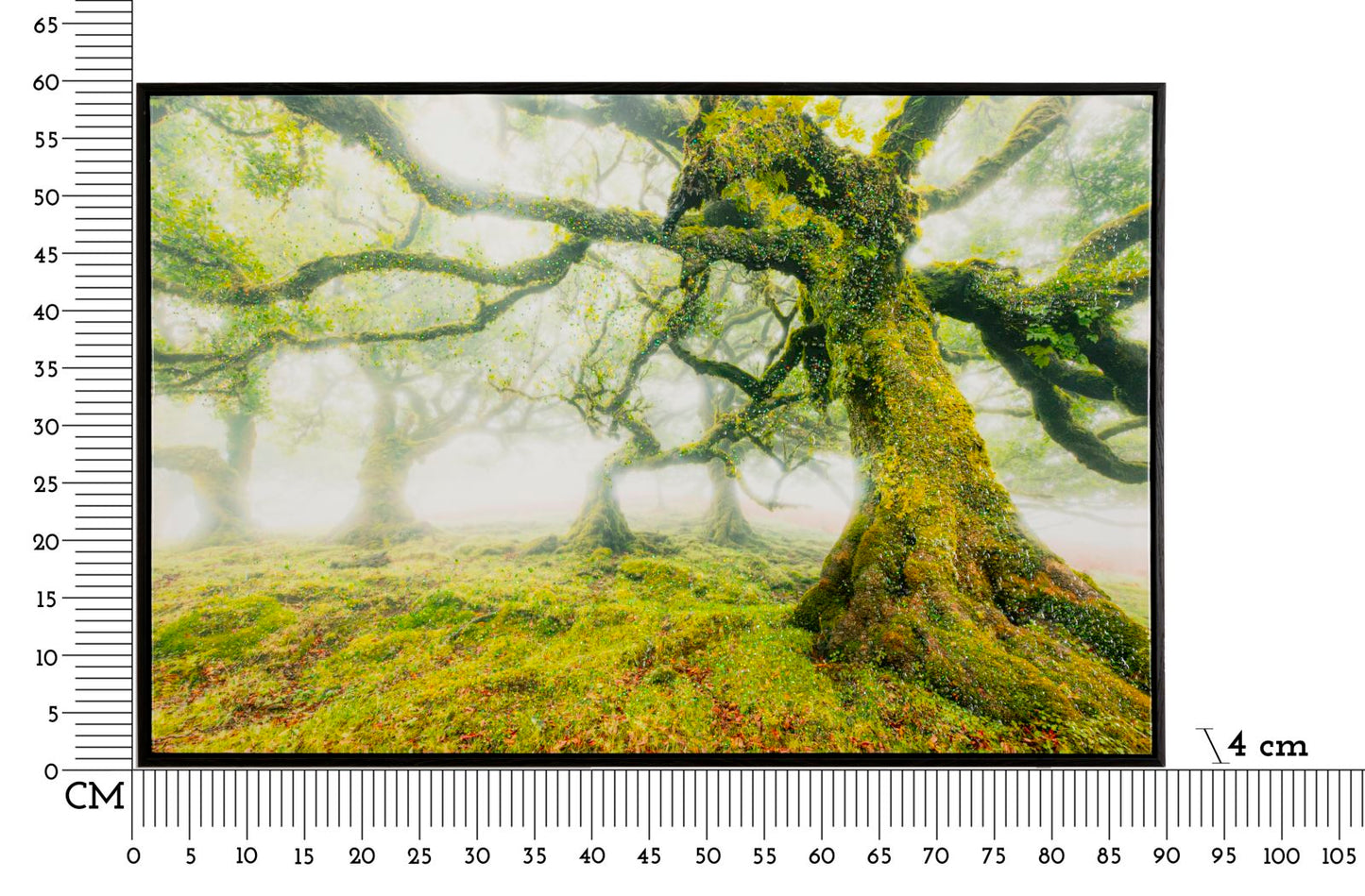 STAMPA SU TELA LACCATA C/CORNICE FORESTA CM 90X4X60