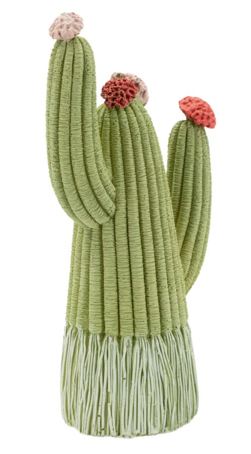 CACTUS CM 10,5X6,5X20,5