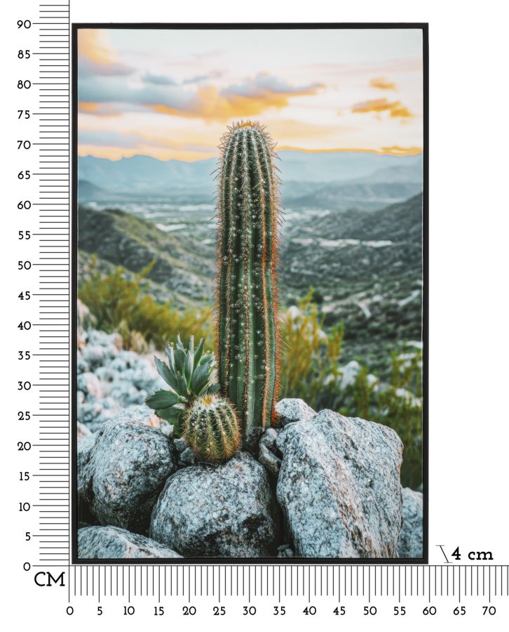 STAMPA SU TELA LACCATA C/CORNICE CACTUS -A- CM 60X4X90