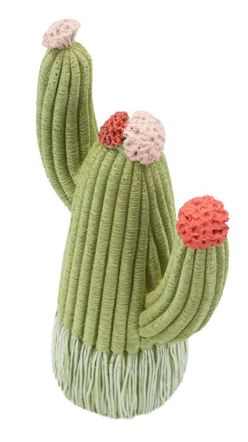 CACTUS CM 10,5X6,5X20,5