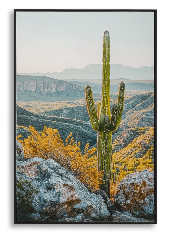 STAMPA SU TELA LACCATA C/CORNICE CACTUS -B- CM 60X4X90