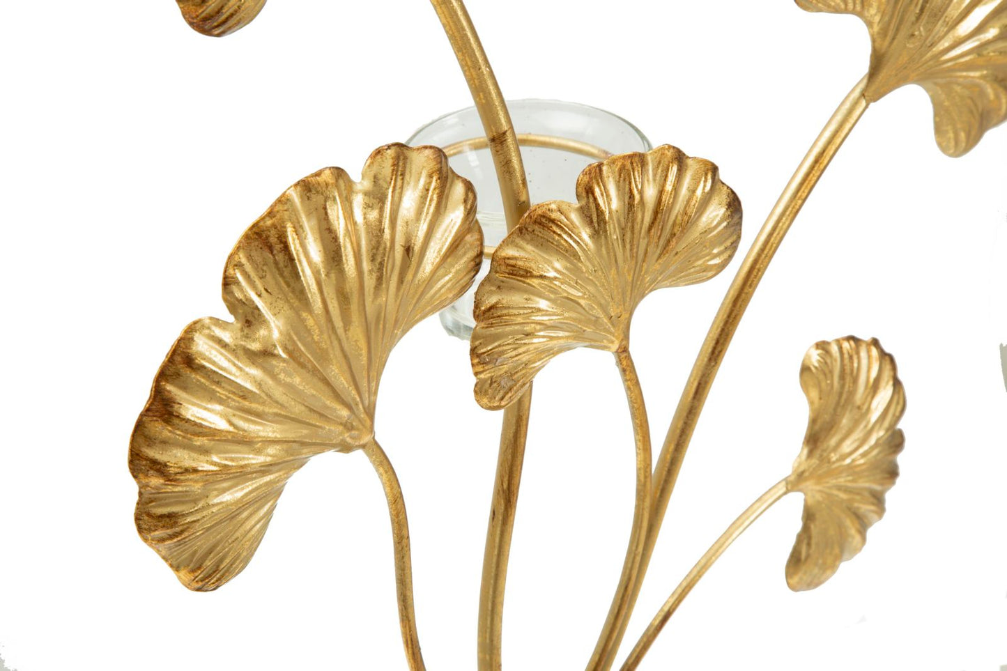 P/CAND GLAM IRIS CM 29X12,5X44