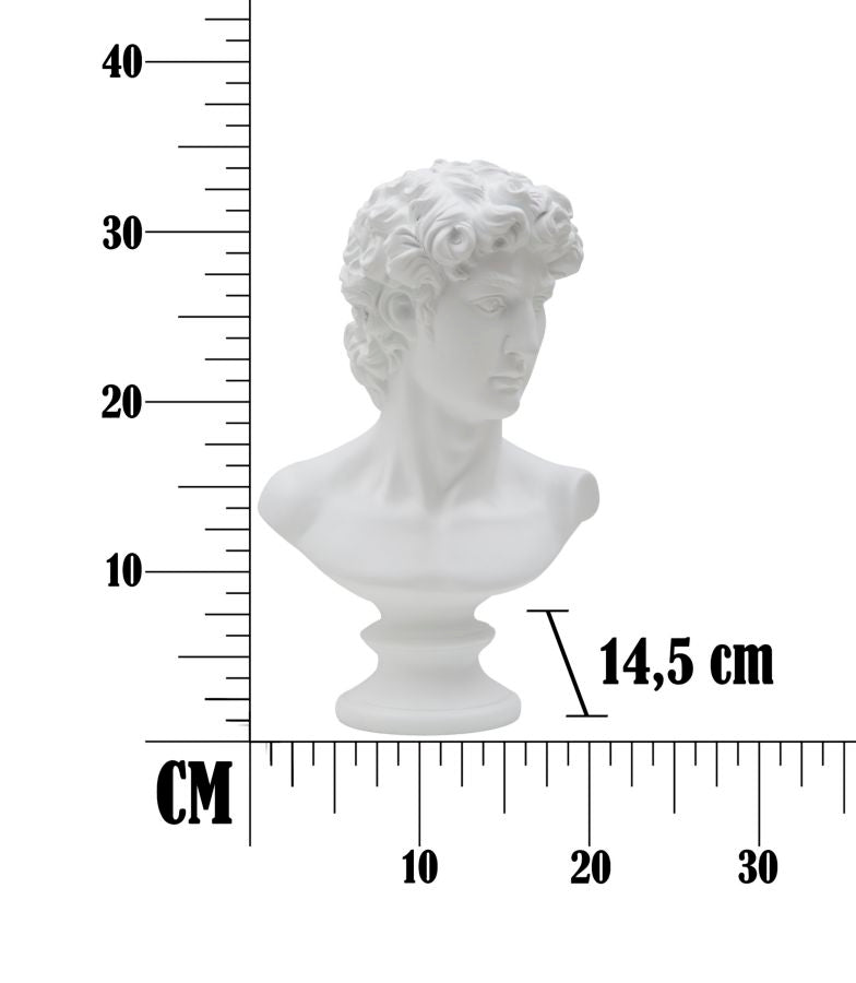 SCULTURA  ROMAN CM 21,5X14,5X34