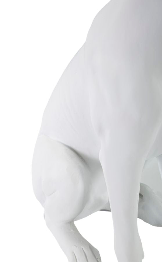 CANE C/CORONA BIANCO CM 20X12,5X33