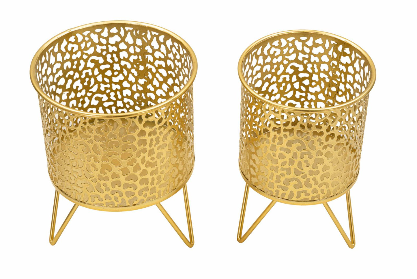 P/VASI PINY COPPIA CM Ø 16X20-13X20