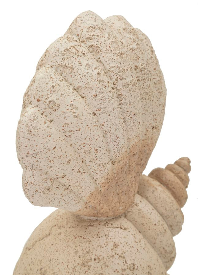 CONCHIGLIA SAND CM 17,2X10X30,2