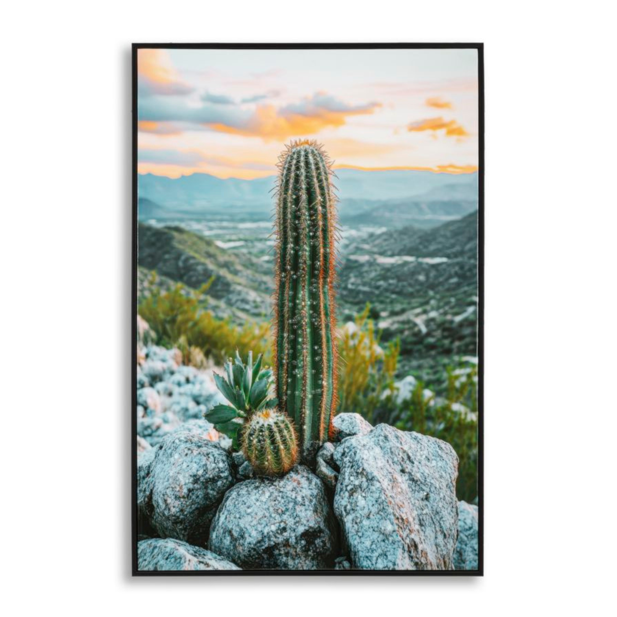 STAMPA SU TELA LACCATA C/CORNICE CACTUS -A- CM 60X4X90